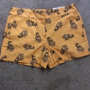 New Loft 4” Shorts